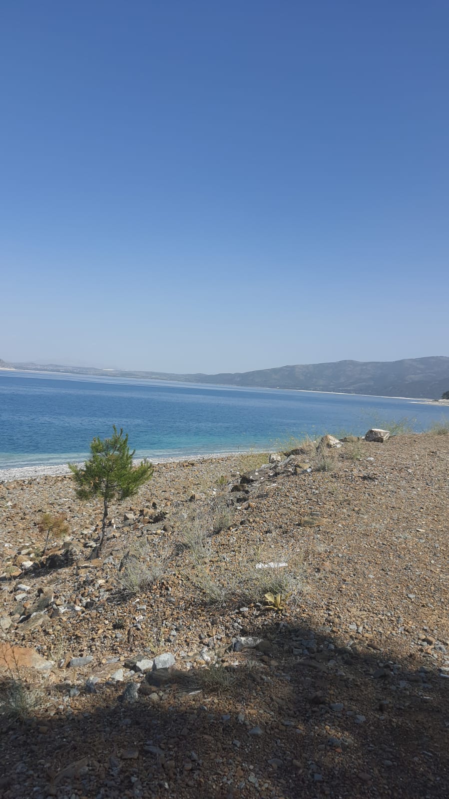 Galeri Fotoğrafı