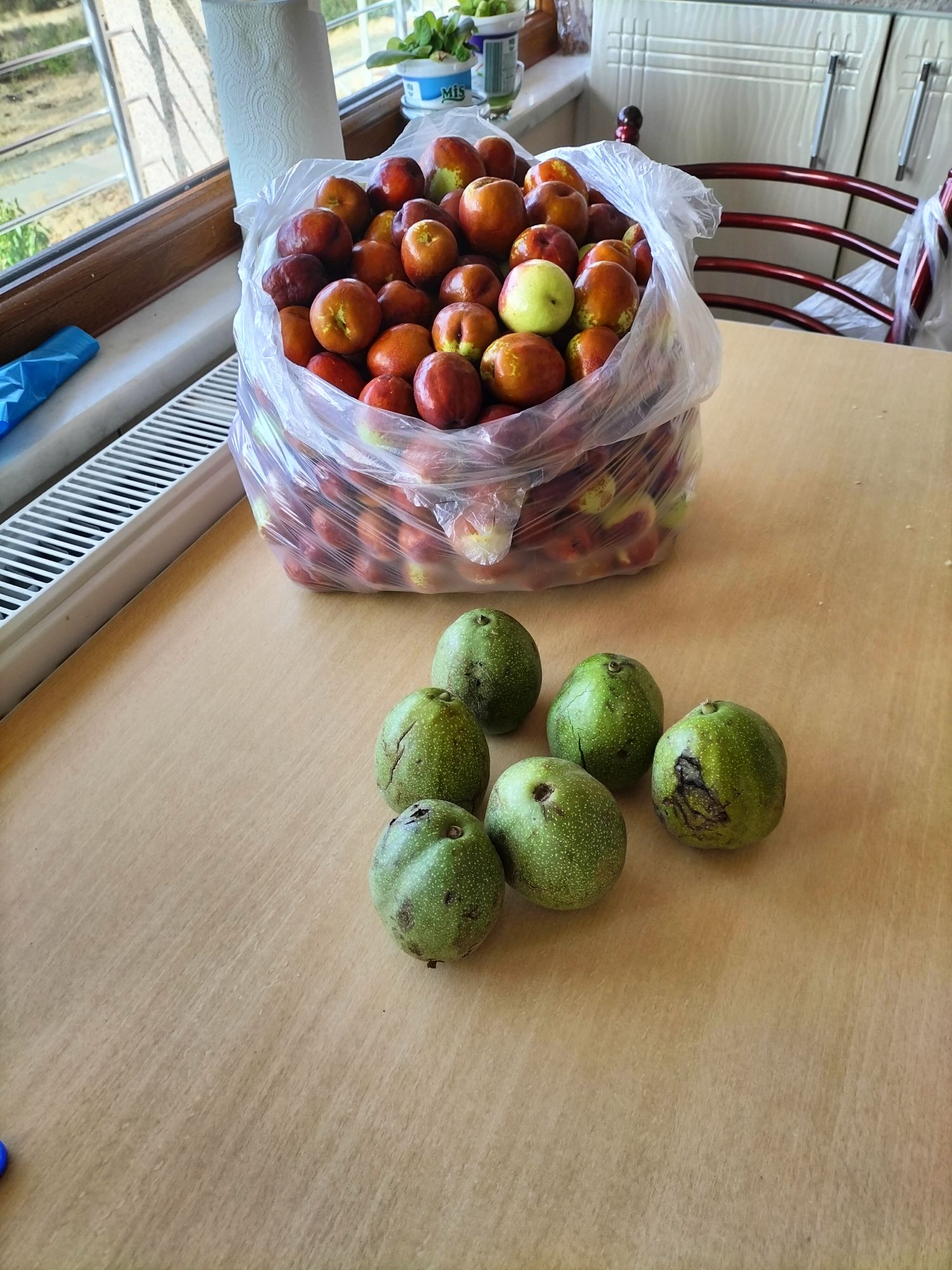 2.3 Hasat Zamanı